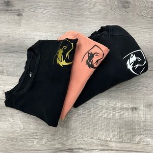 🚨3 for 1 ALPHALETE Tops (please read description)